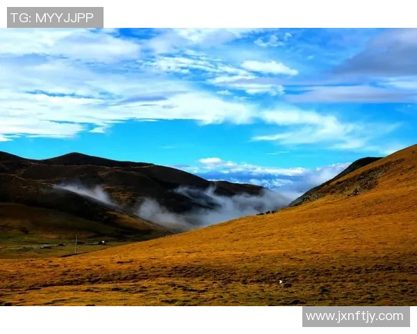 焦泊乔的成长之路与人生哲学探讨:从平凡到卓越的心灵旅程 焦泊乔的成长之路与人生哲学探讨:从平凡到卓越的心灵旅程