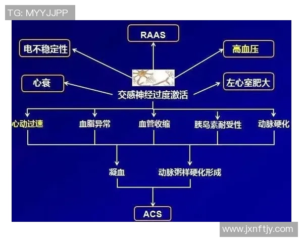 曼联与圣何塞地震精彩对决直播视频全程回顾与分析