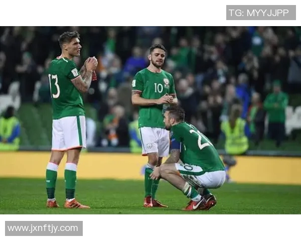 法国队与爱尔兰足球对决精彩回顾与赛后分析 法国队与爱尔兰足球对决精彩回顾与赛后分析