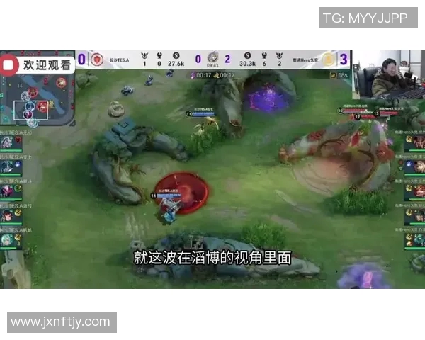 王者荣耀热议TES战队实力引发的争议与讨论分析