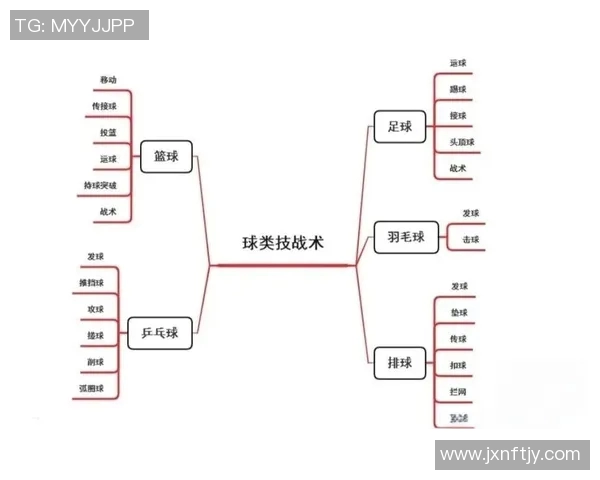 篮球新手必看：全面解析战术基础与实战技巧的入门指南